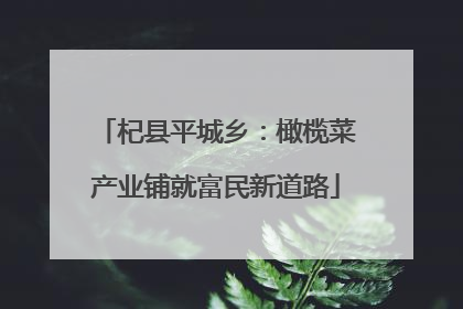 杞县平城乡：橄榄菜产业铺就富民新道路