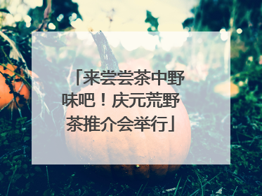 来尝尝茶中野味吧！庆元荒野茶推介会举行