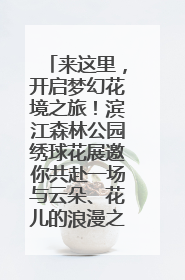 来这里，开启梦幻花境之旅！滨江森林公园绣球花展邀你共赴一场与云朵、花儿的浪漫之约
