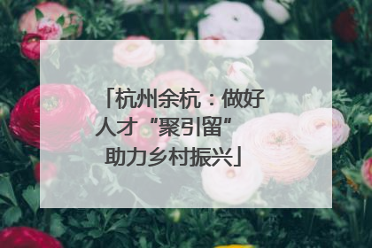 杭州余杭：做好人才“聚引留” 助力乡村振兴