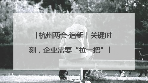 杭州两会·追新丨关键时刻，企业需要“拉一把”