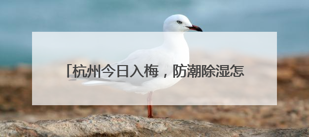 杭州今日入梅，防潮除湿怎么办？已有不少人开始备货