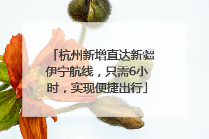 杭州新增直达新疆伊宁航线，只需6小时，实现便捷出行