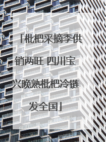 枇杷采摘季供销两旺 四川宝兴晚熟枇杷冷链发全国
