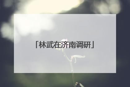 林武在济南调研