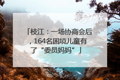 枝江：一场协商会后，164名困境儿童有了“委员妈妈”