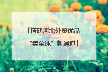 搭建河北外贸优品“卖全球”新通道