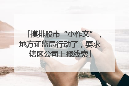 摸排股市“小作文”，地方证监局行动了，要求辖区公司上报线索
