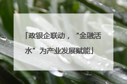 政银企联动，“金融活水”为产业发展赋能