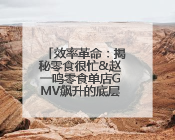 效率革命：揭秘零食很忙&赵一鸣零食单店GMV飙升的底层方法论