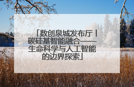 数创泉城发布厅丨碳硅基智能融合——生命科学与人工智能的边界探索