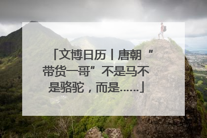 文博日历丨唐朝“带货一哥”不是马不是骆驼，而是……