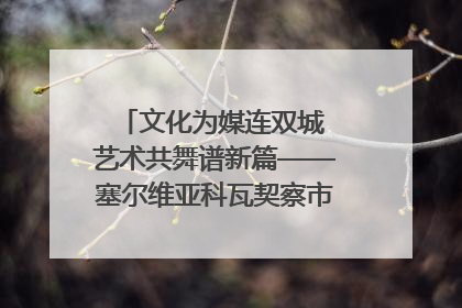 文化为媒连双城 艺术共舞谱新篇——塞尔维亚科瓦契察市代表团访问日照