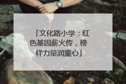 文化路小学：红色基因薪火传，榜样力量润童心