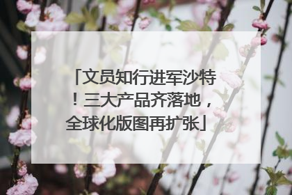 文员知行进军沙特！三大产品齐落地，全球化版图再扩张