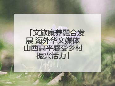 文旅康养融合发展 海外华文媒体山西高平感受乡村振兴活力