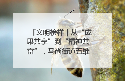 文明榜样｜从“成果共享”到“精神共富”，马尚街道五维聚力育文明