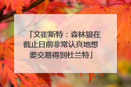 文霍斯特：森林狼在截止日前非常认真地想要交易得到杜兰特