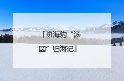 斑海豹“汤圆”归海记