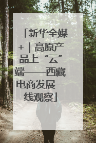 新华全媒+｜高原产品上“云”端——西藏电商发展一线观察