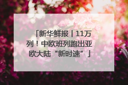 新华鲜报丨11万列！中欧班列跑出亚欧大陆“新时速”
