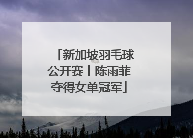 新加坡羽毛球公开赛丨陈雨菲夺得女单冠军