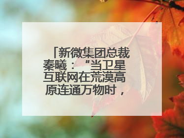 新微集团总裁秦曦：“当卫星互联网在荒漠高原连通万物时，成都的创新故事才真正开始”