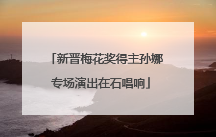 新晋梅花奖得主孙娜专场演出在石唱响