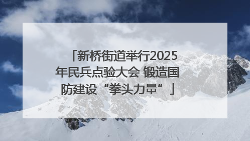 新桥街道举行2025年民兵点验大会 锻造国防建设“拳头力量”