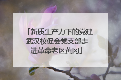 新质生产力下的党建 武汉校促会党支部走进革命老区黄冈