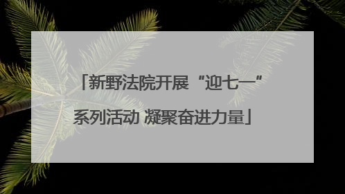 新野法院开展“迎七一”系列活动 凝聚奋进力量