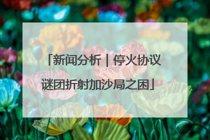 新闻分析｜停火协议谜团折射加沙局之困