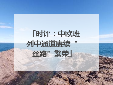 时评：中欧班列中通道赓续“丝路”繁荣