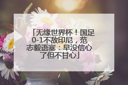 无缘世界杯！国足0-1不敌印尼，范志毅语塞：早没信心了但不甘心