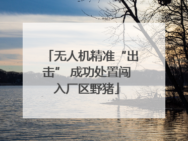 无人机精准“出击” 成功处置闯入厂区野猪