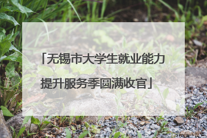无锡市大学生就业能力提升服务季圆满收官