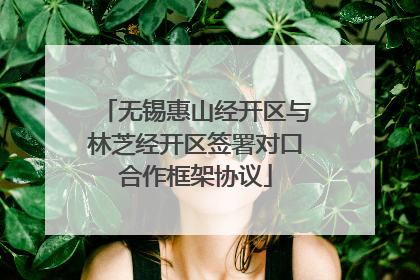 无锡惠山经开区与林芝经开区签署对口合作框架协议