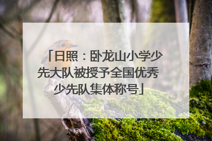 日照：卧龙山小学少先大队被授予全国优秀少先队集体称号