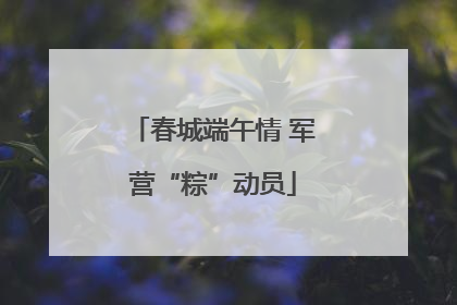 春城端午情 军营“粽”动员