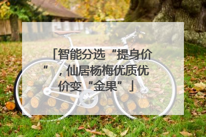 智能分选“提身价”，仙居杨梅优质优价变“金果”