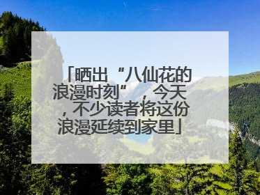 晒出“八仙花的浪漫时刻”，今天，不少读者将这份浪漫延续到家里