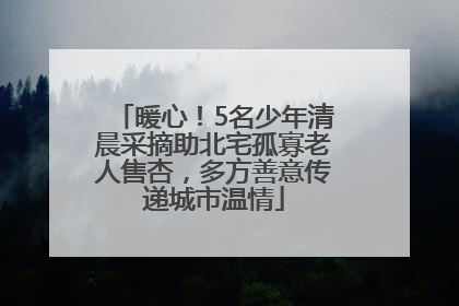 暖心！5名少年清晨采摘助北宅孤寡老人售杏，多方善意传递城市温情