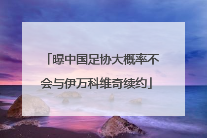 曝中国足协大概率不会与伊万科维奇续约
