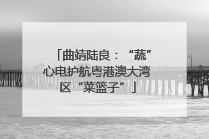 曲靖陆良：“蔬”心电护航粤港澳大湾区“菜篮子”
