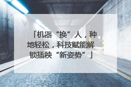 机器“换”人，种地轻松，科技赋能解锁插秧“新姿势”