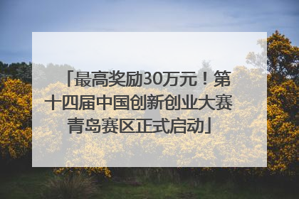 最高奖励30万元！第十四届中国创新创业大赛青岛赛区正式启动