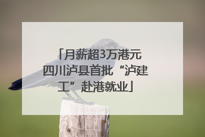 月薪超3万港元 四川泸县首批“泸建工”赴港就业