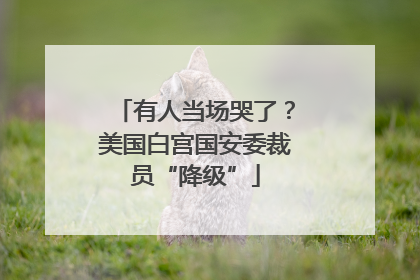 有人当场哭了？美国白宫国安委裁员“降级”