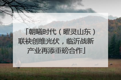 朝曦时代（曜灵山东）联袂创维光伏，临沂战新产业再添重磅合作