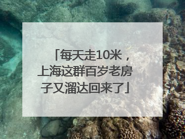 每天走10米，上海这群百岁老房子又溜达回来了